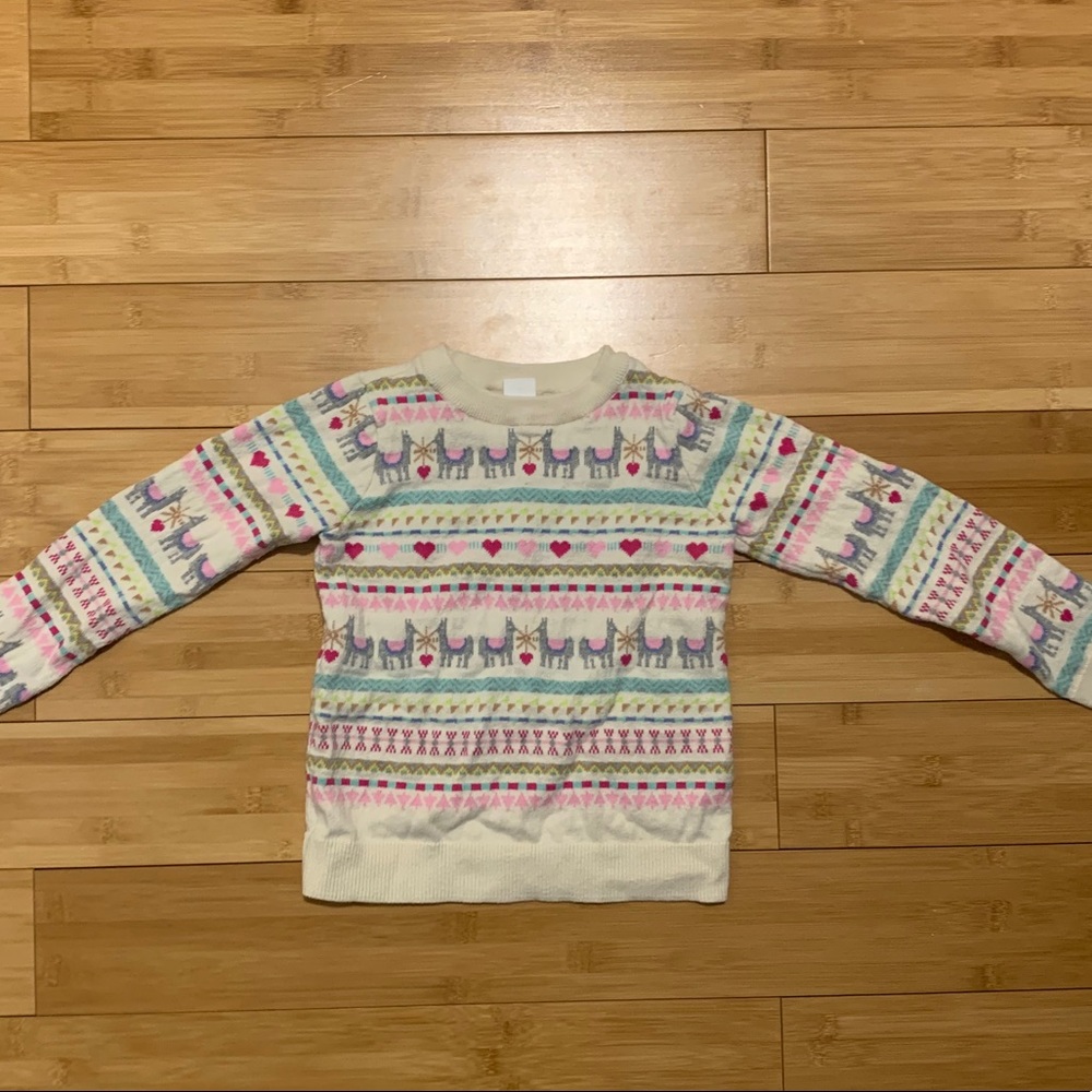 Baby Gap Sweater